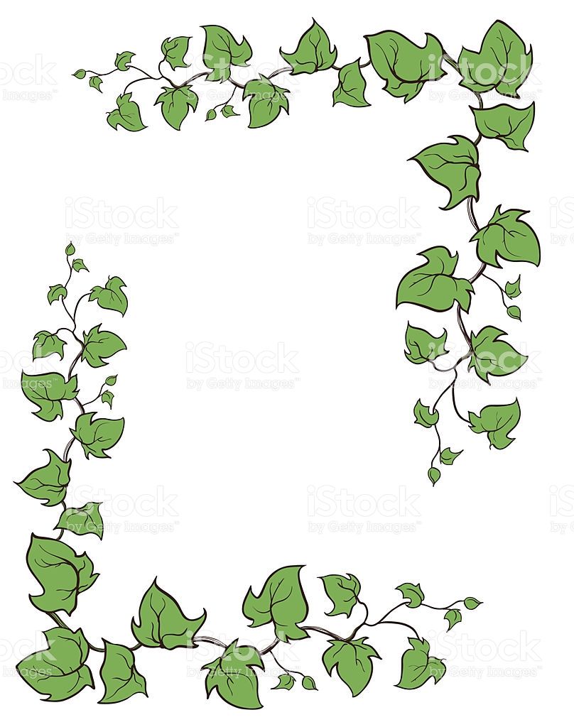 808x1024 Ivy Plant Clip Art