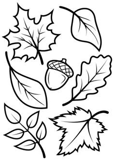 236x334 Fresh Ivy Leaves Coloring Pages
