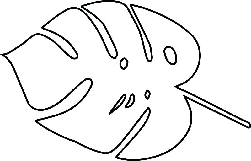 800x513 Ivy Leaf Outline Vector Of A As Well Maple Clover Clipart Simple