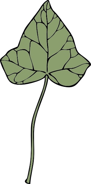 294x591 Ivy Leaf Clip Art Free Vector In Open Office Drawing
