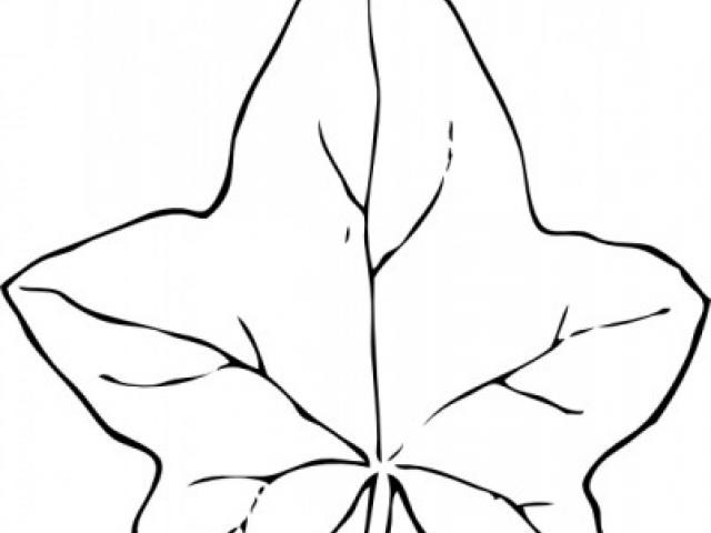 640x480 Clipart Wallpaper Blink