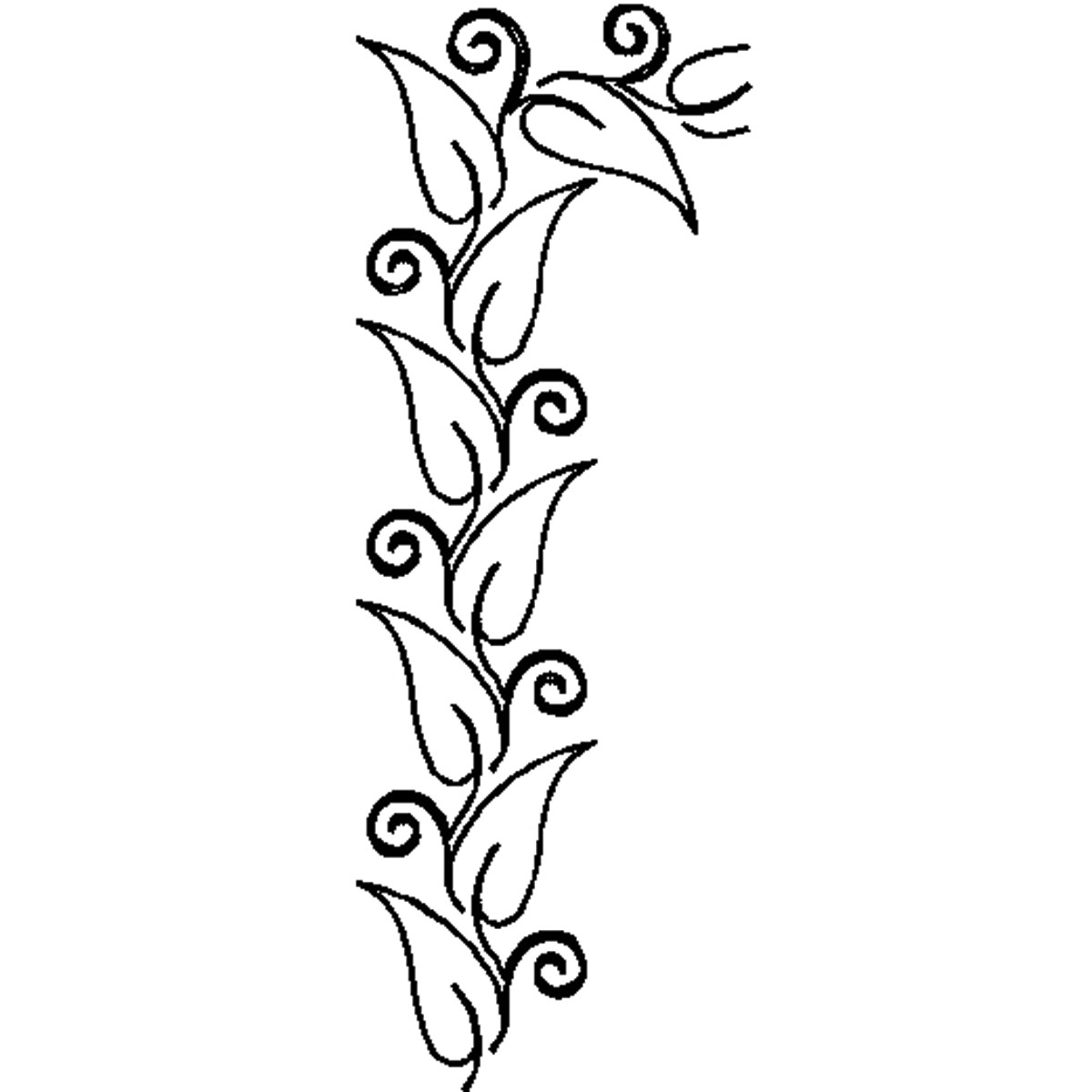 1200x1200 Ivy Clipart Drawn