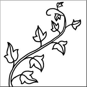 Ivy Plant Drawing | Free download on ClipArtMag