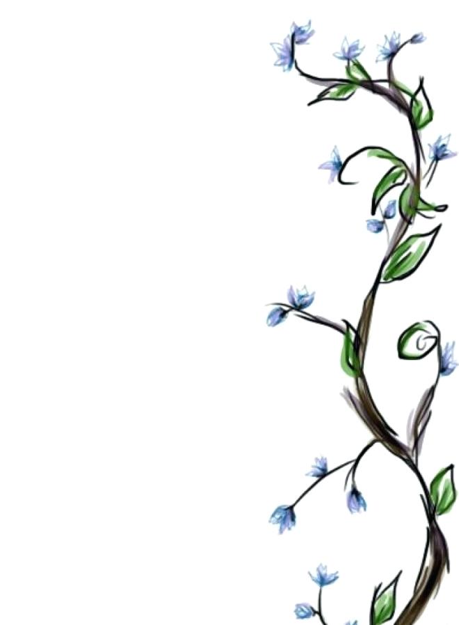 660x899 Drawing Of Vines
