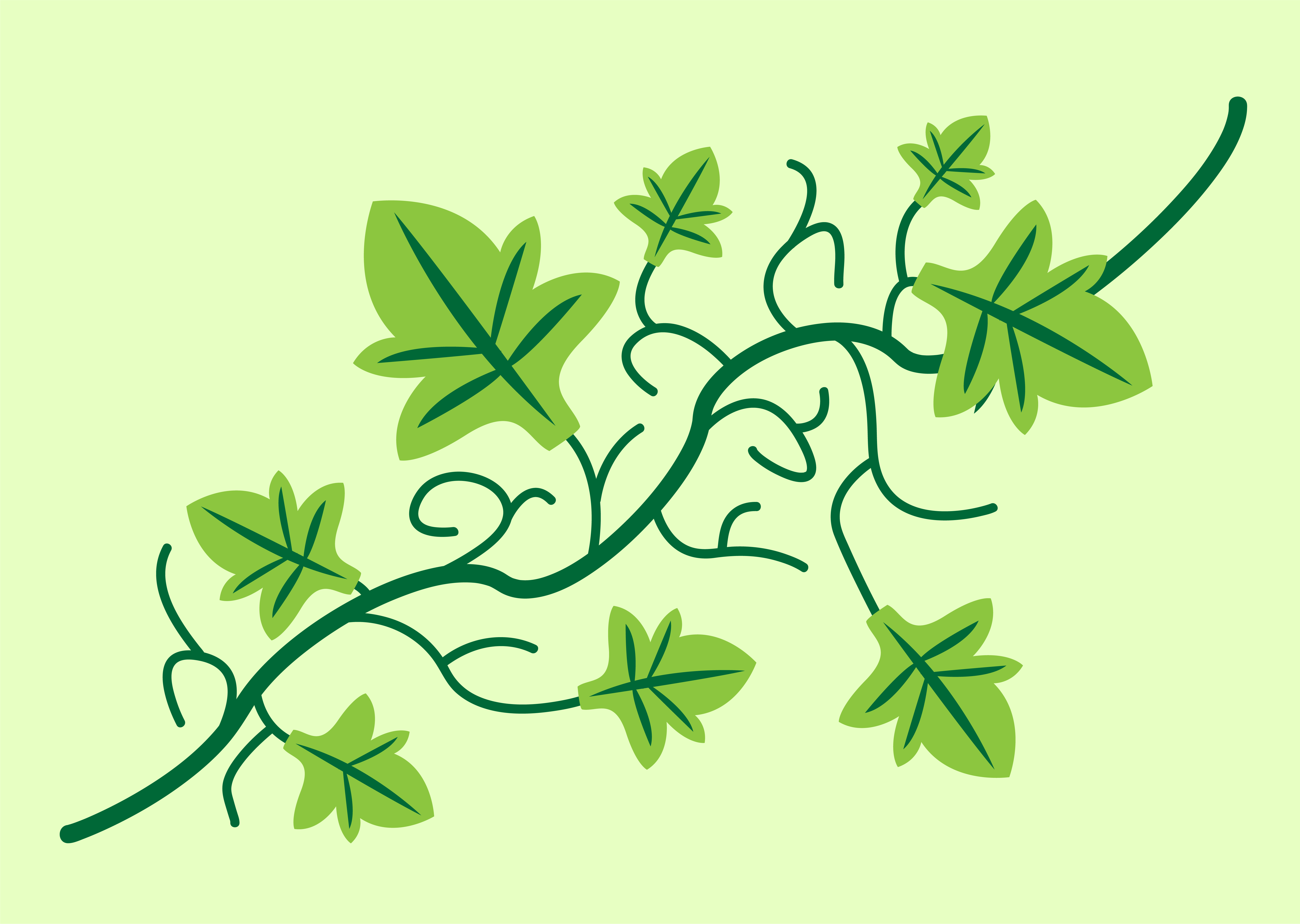 5938x4223 Ivy Vine Vector