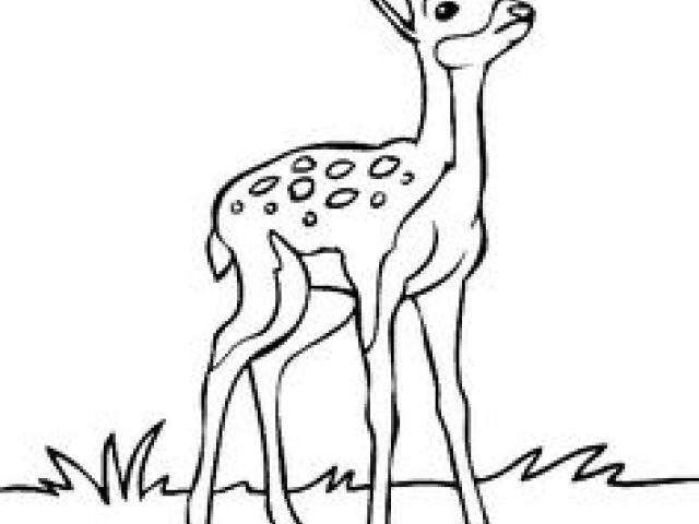 640x480 Free Drawn Little Girl, Download Free Clip Art