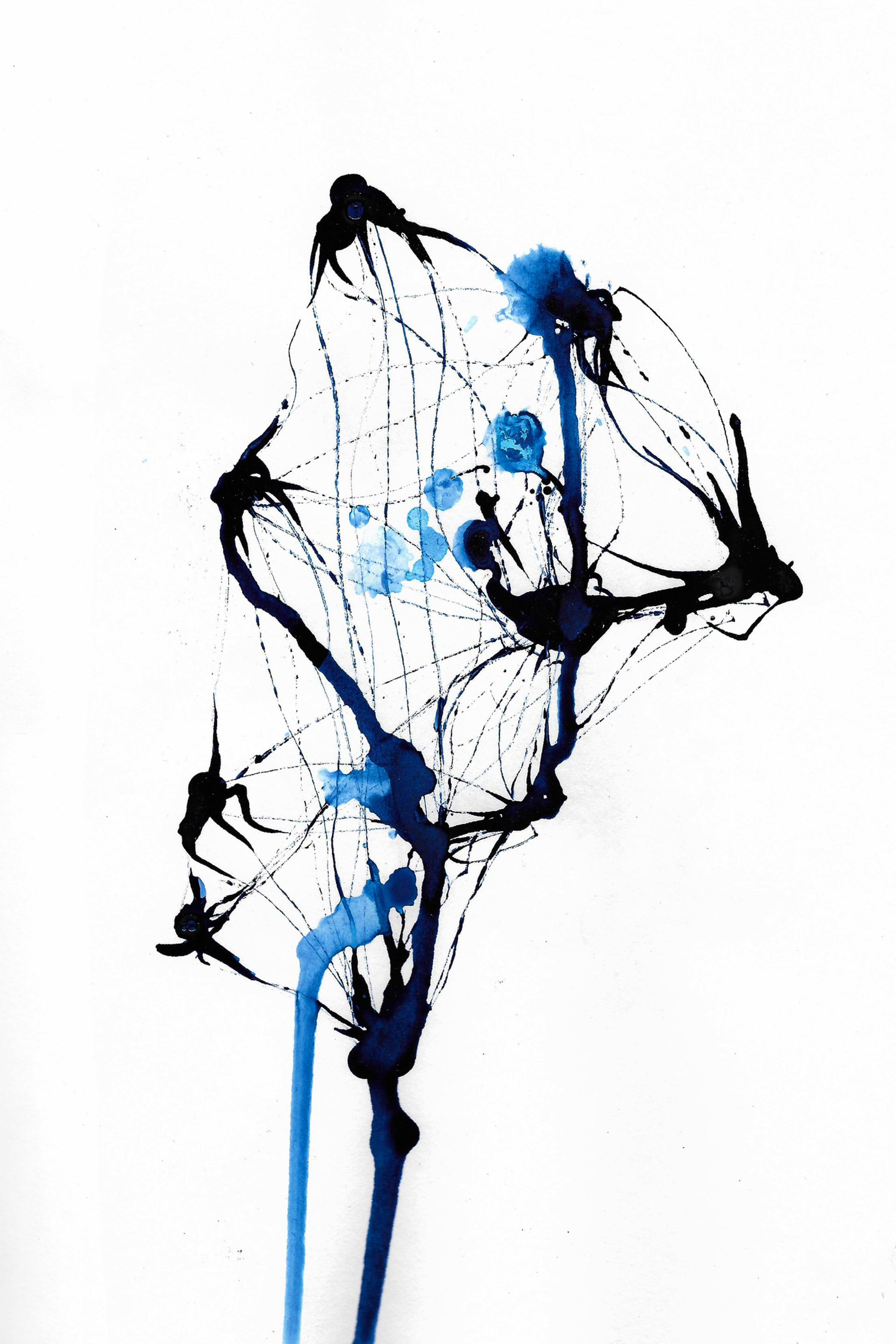 1920x2879 Glass Spider Drawing