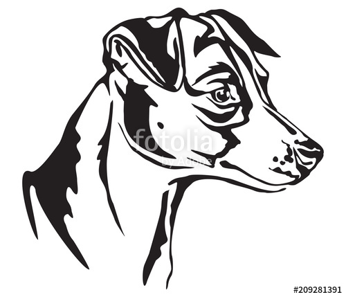 500x429 Decorative Portrait Of Jack Russell Terrier Vector Illustration