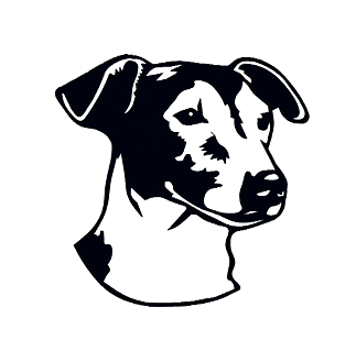 323x329 Dog, Head, Drawing, Transparent Png Image Clipart Free Download
