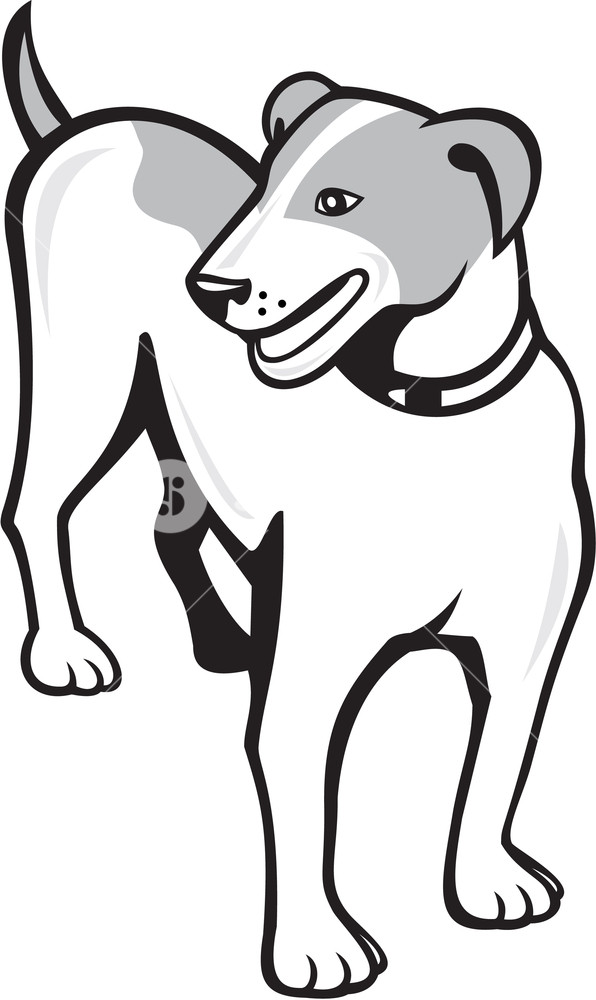 Jack Russell Drawing | Free download on ClipArtMag