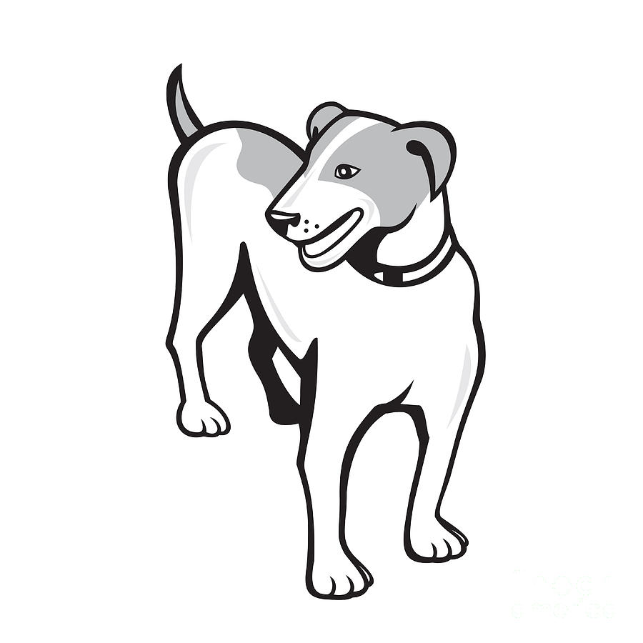 900x900 Jack Russell Terrier Standing Cartoon Digital Art