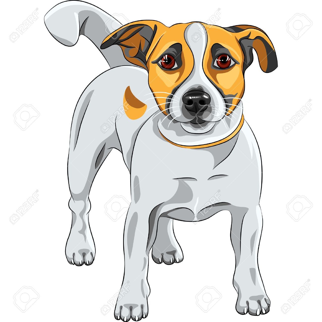 1300x1300 Color Sketch Of The Cartoon Dog Jack Russell Terrier Breed Jacks