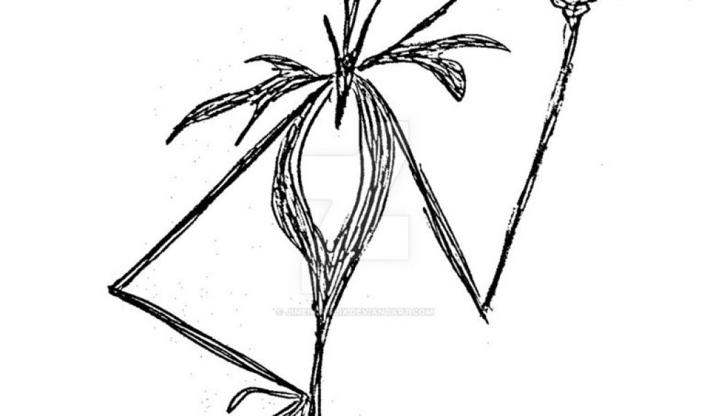 1024x600 Fresh Best Jack Skellington Drawing