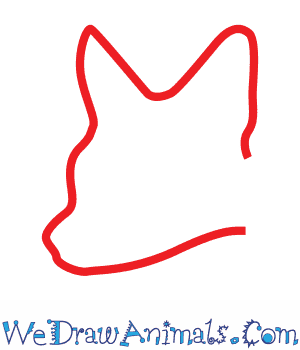 300x350 How To Draw An Asiatic Jackal