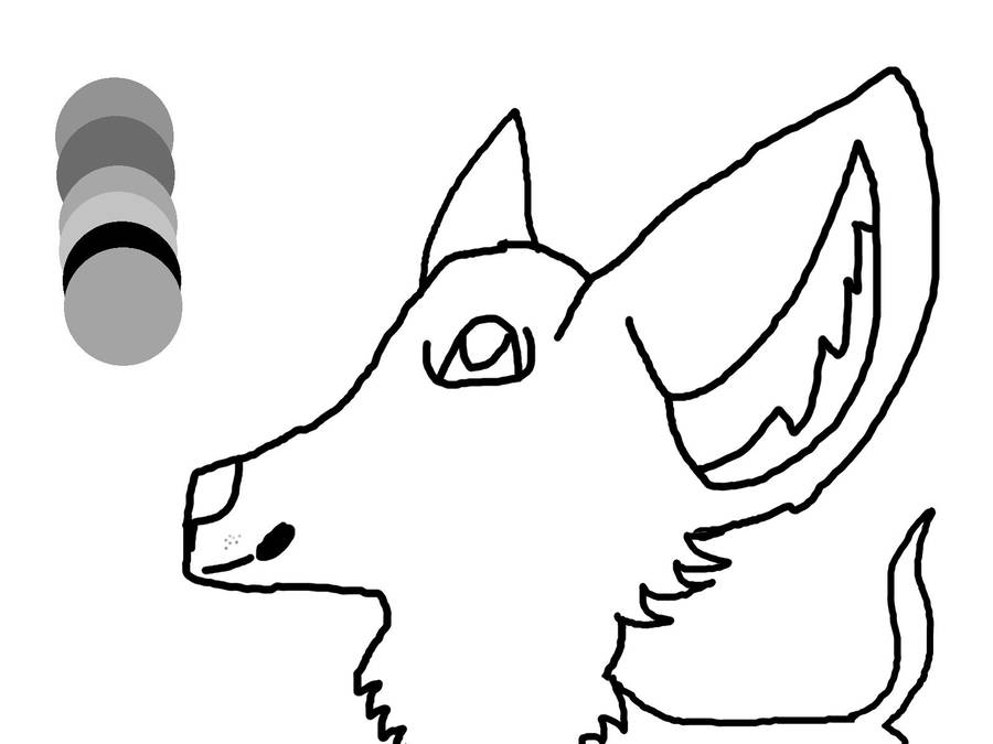 900x675 Jackal Or Wolf Lineart