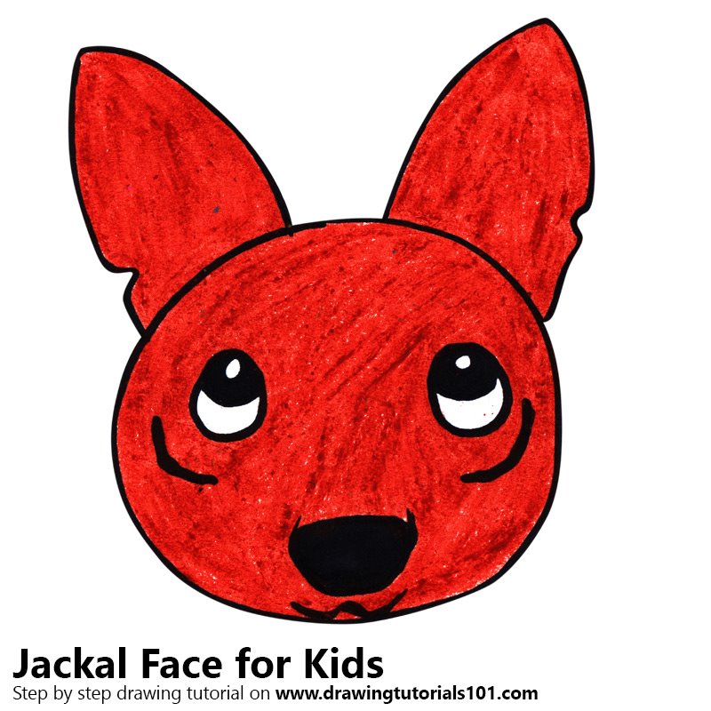 800x800 Learn How To Draw A Jackal Face For Kids