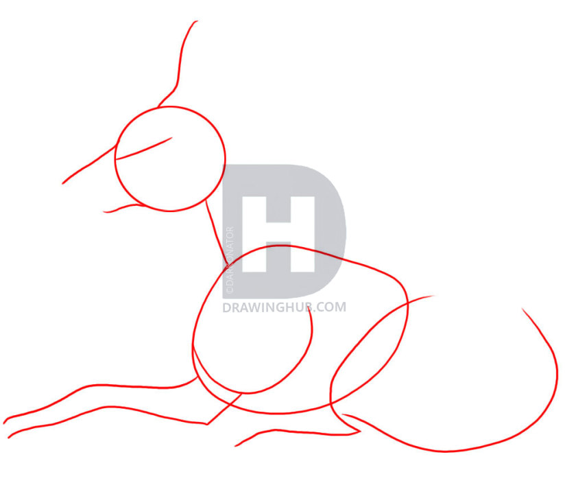 840x720 How To Draw A Jackal, Step