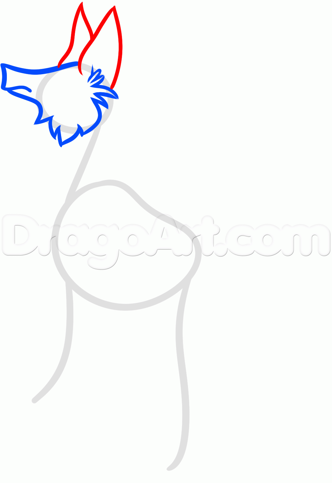 1065x1548 How To Draw A Jackal, Step