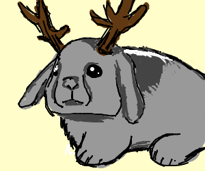 300x250 Jackalope