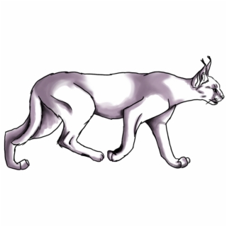 320x320 Hd Skitzo Be Sketchin