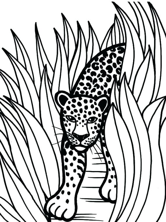 570x762 Jaguar Coloring Pages Black