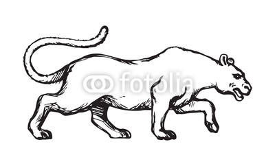 400x242 Panther Vector Drawing Buy Photos Ap Images Detailview