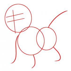 302x301 How To Draw How To Draw Baby Jaguar From Go Diego