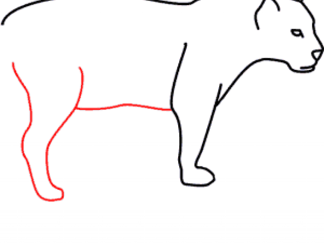 640x480 Free Drawn Jaguar, Download Free Clip Art