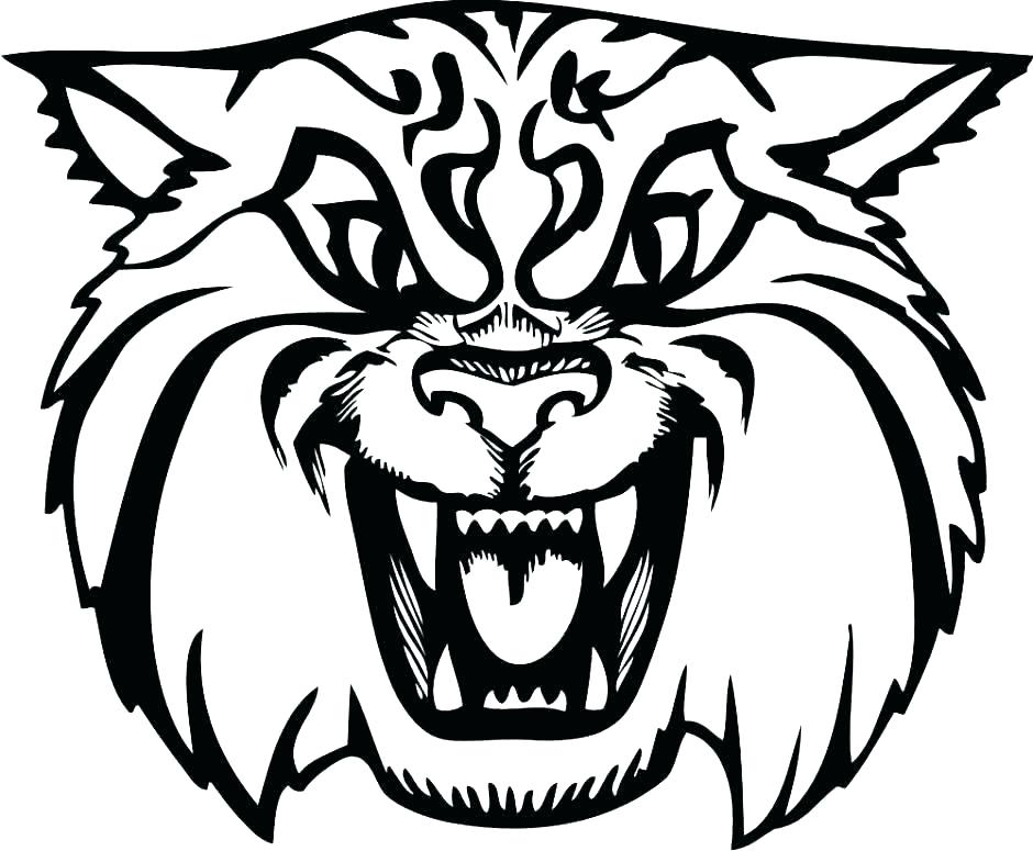 940x775 Baby Jaguar Coloring Pages Free