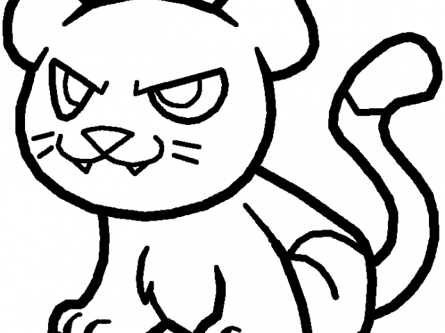 640x480 Jaguar Anatomy