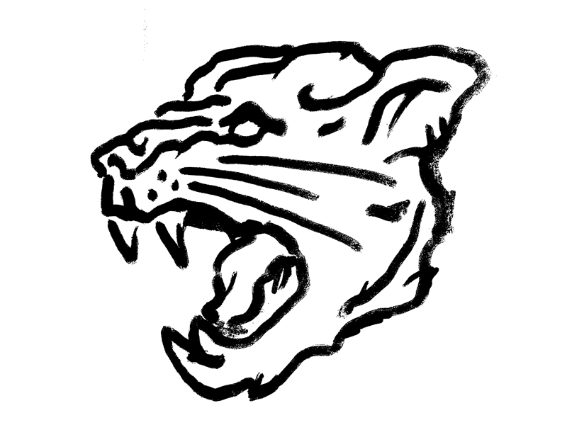 800x600 Panther Head