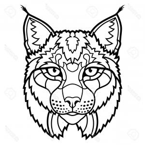 300x300 Stock Photo Illustration Of An Angry Jaguar Panther Leopard