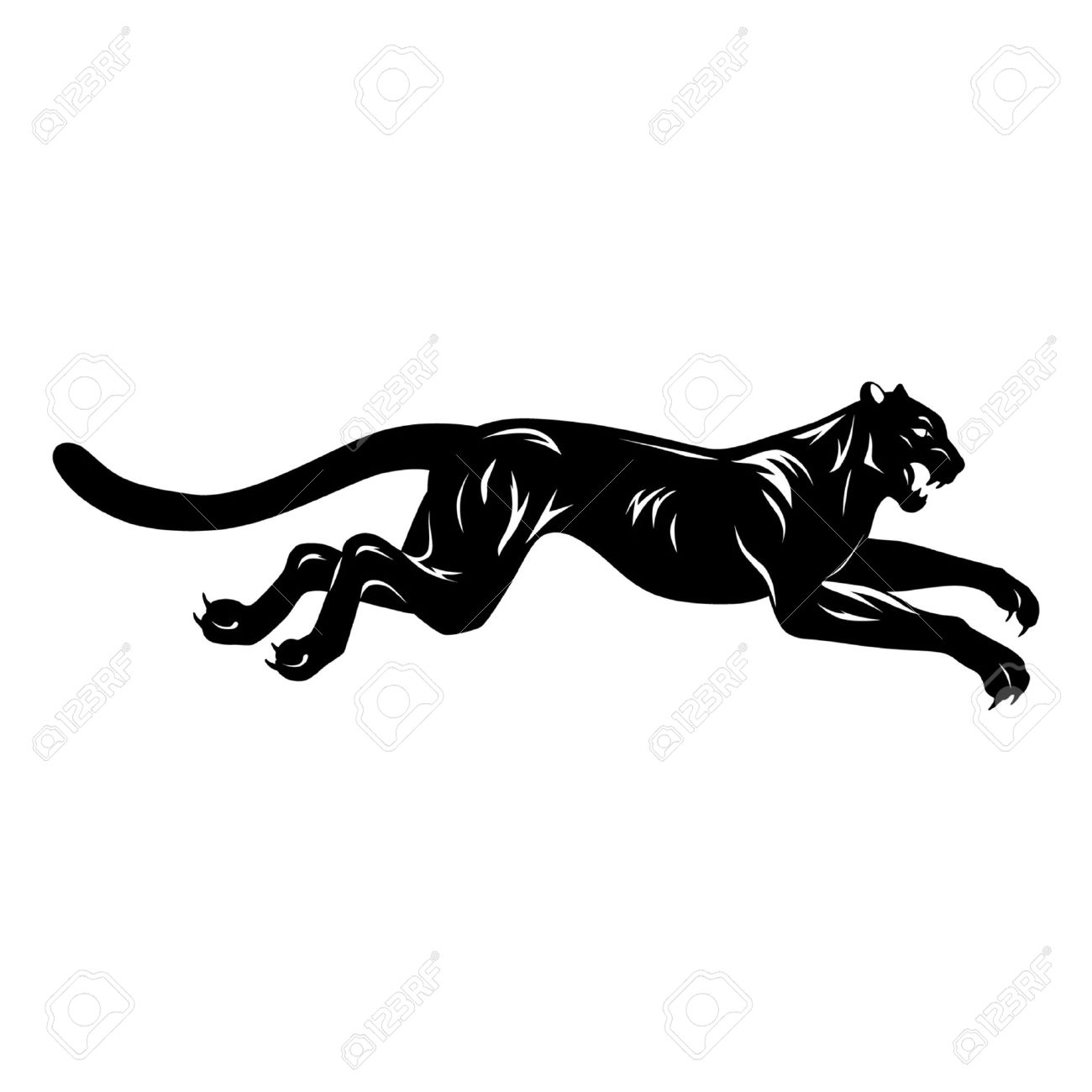 1300x1300 Cougar Panther Outline Fun Pics Images