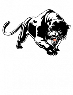 250x325 Drawing Panther Outline, Picture