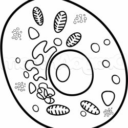 250x250 dry cell battery drawing jail bars a assignment cheek biological