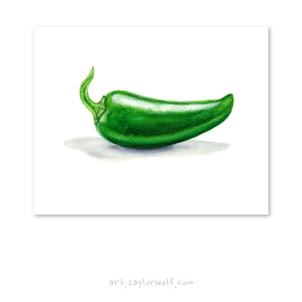 600x600 A Hot One Jalapeno Pepper Watercolor Food Painting
