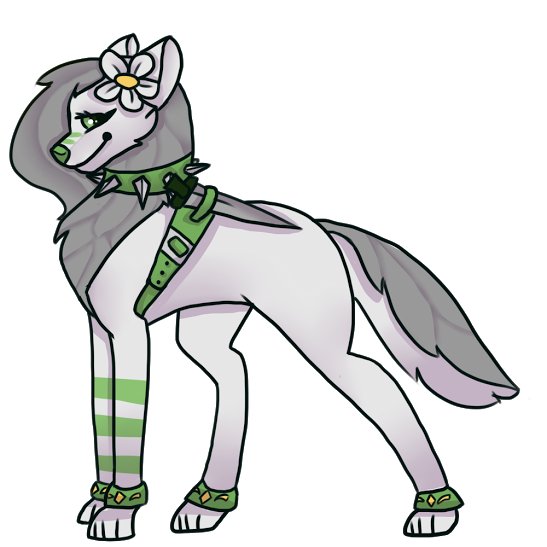 547x547 Drawing Wolfs Animal Jam Transparent Png Clipart Free Download