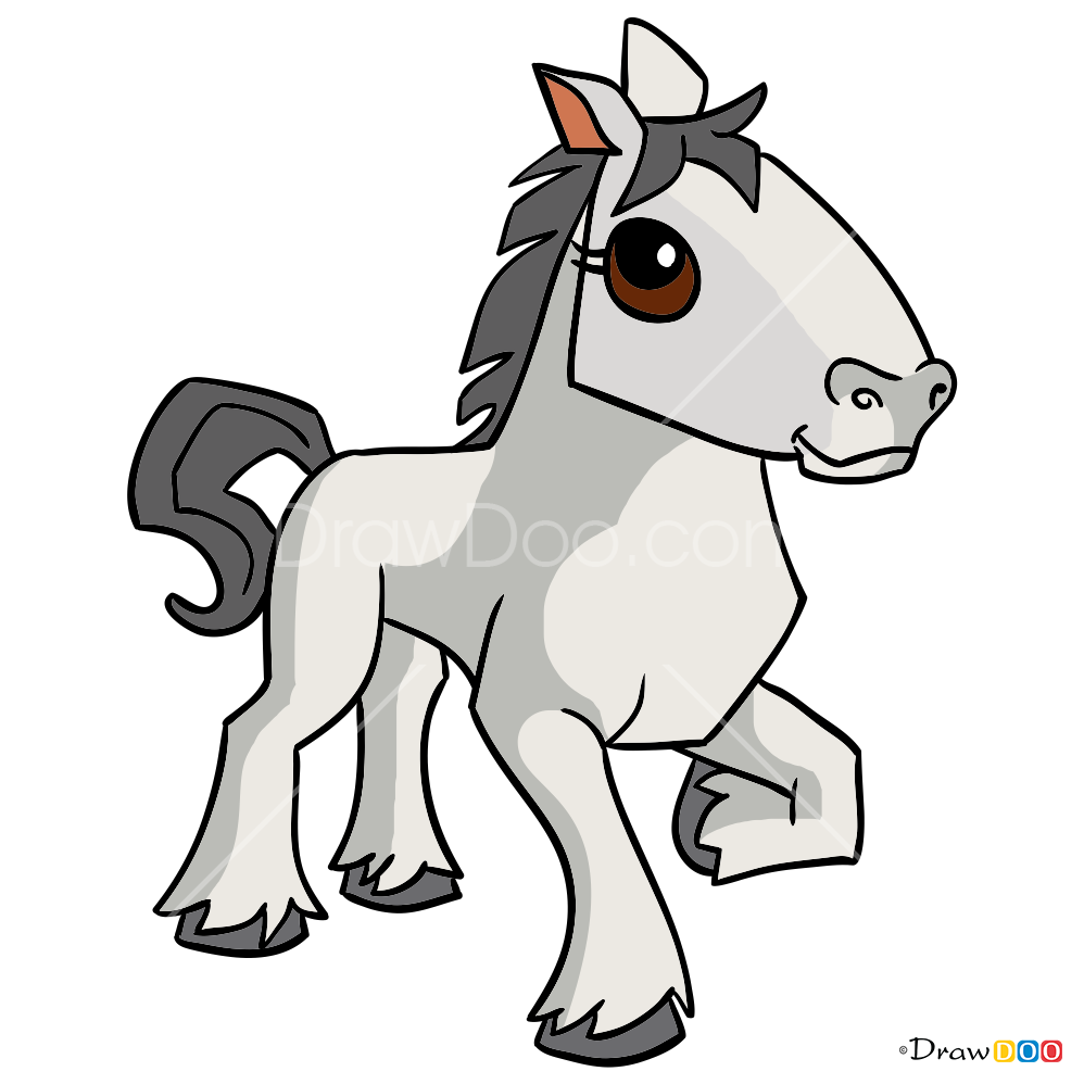 998x998 How To Draw Horse, Animal Jam