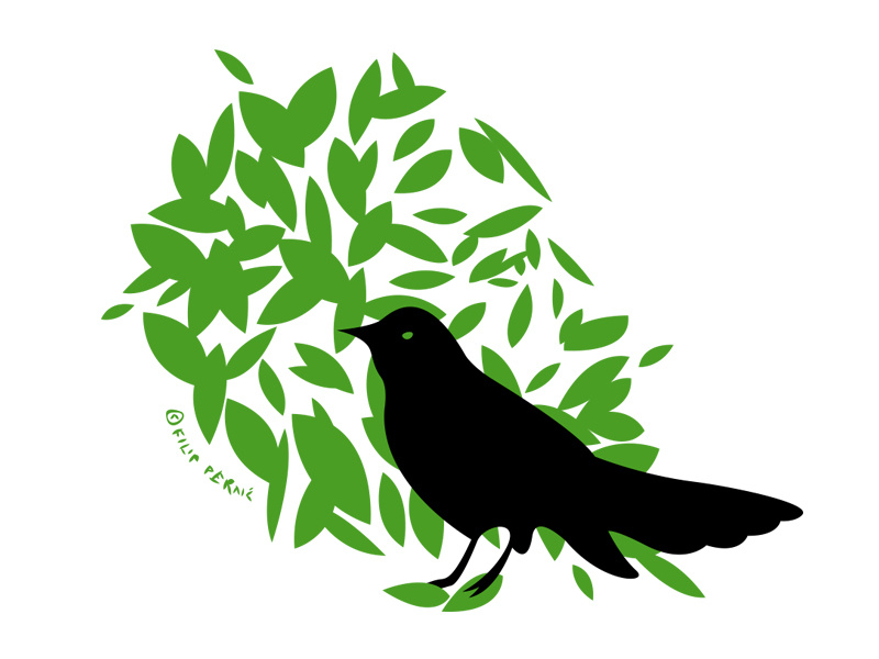 800x600 James Harden No