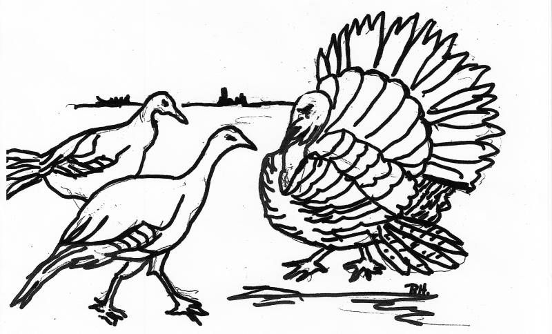 800x484 Janet Jackson Gould Archives