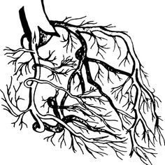 236x236 Best Miyamoto Musashi's Paintings Images Miyamoto Musashi