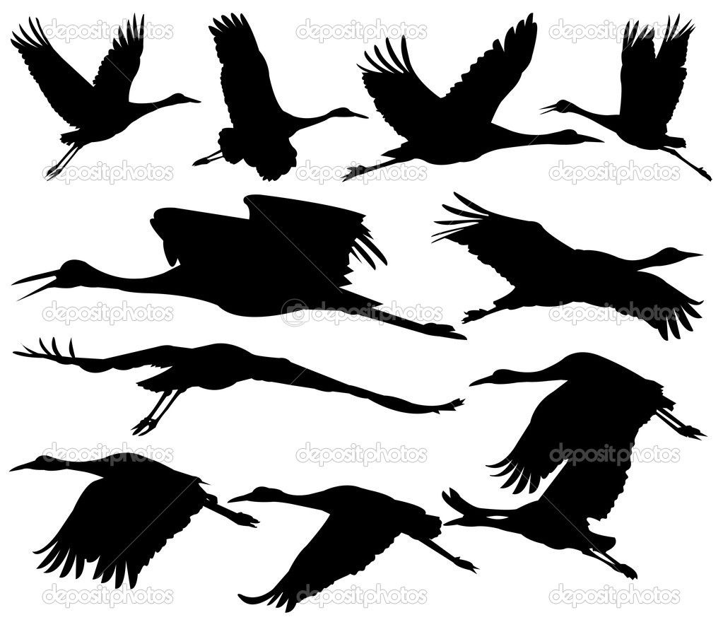 1023x887 free download sandhill crane silhouette clipart for your creation