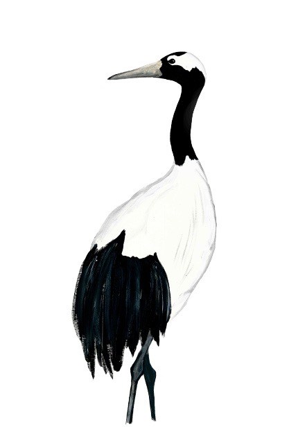 430x616 japanese crane art print stunning red crowned crane art print