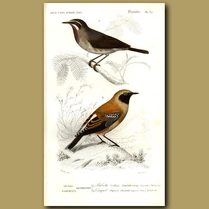 700x700 Japanese Nogoma And Wheat Ear Birds Genuine Antique Print For Sale