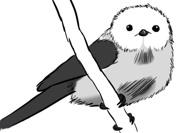 659x468 simple, monochromatic japanese long tailed tit would appreciate
