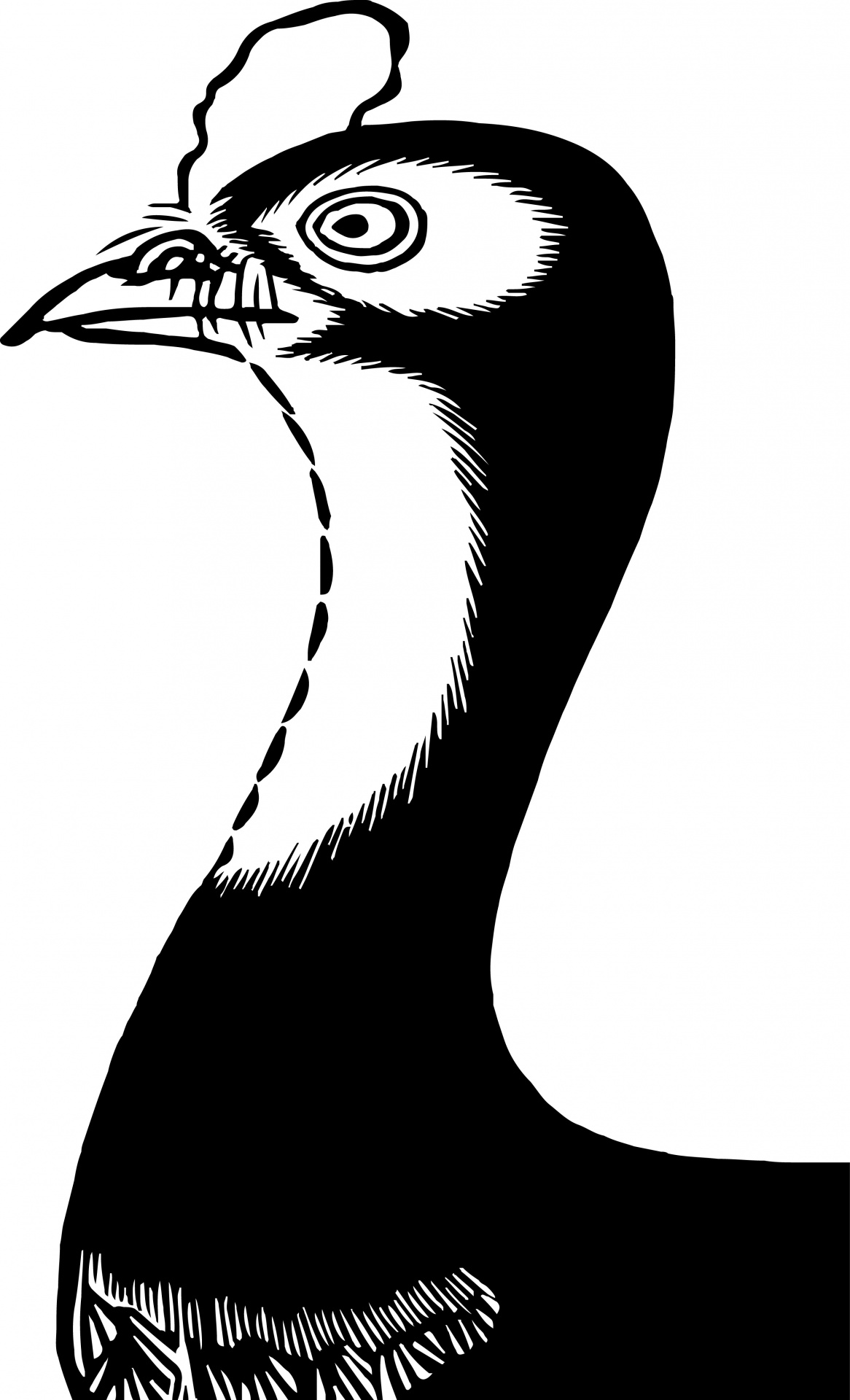 1166x1920 Vintage, Japanese, Art, Illustration, Blackampnbspwhite