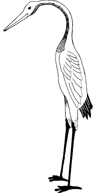 320x640 Collection Of Free Vector Birds Japanese Crane Download On Ui Ex