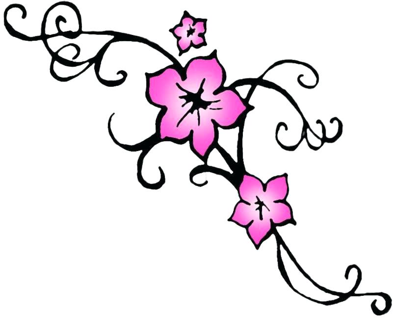 803x648 Draw Cherry Blossom How To Draw Cherry Blossoms Also Trendy Ideas