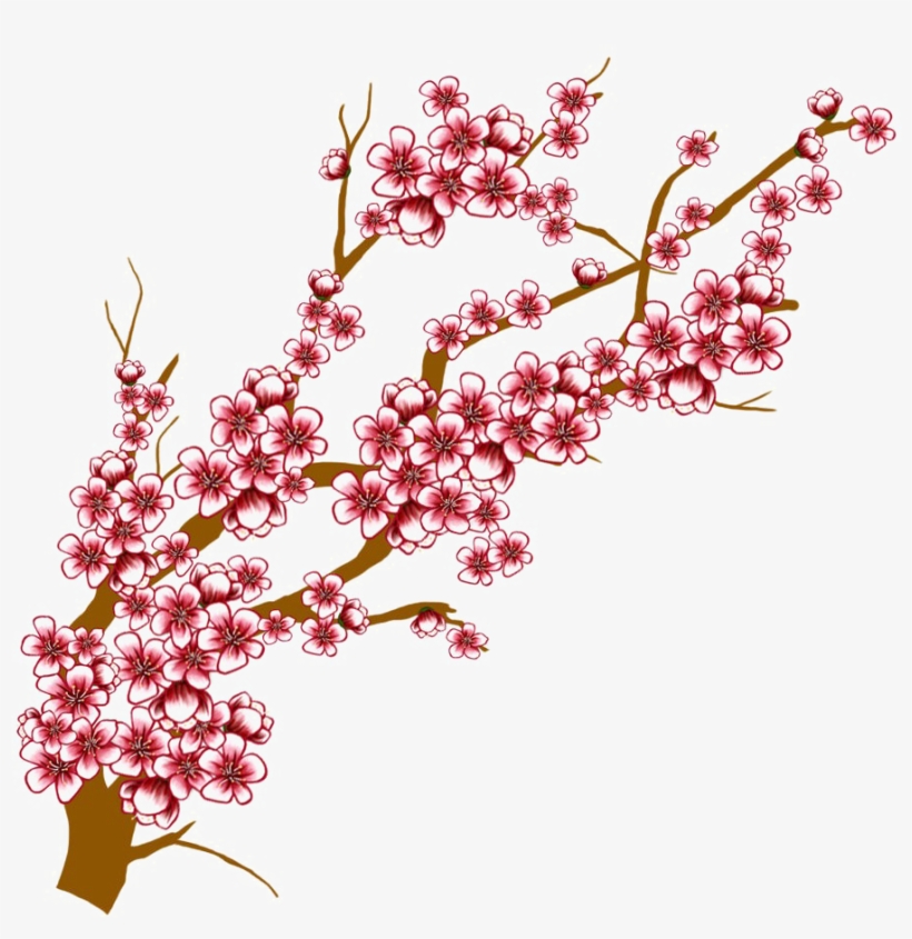 820x845 Japanese Flowering Cherry Transparent Background