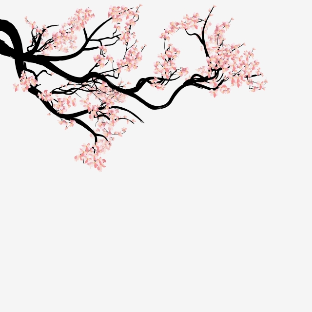 640x640 Watercolor Sakura Frame Background With Blossom Cherry Tree